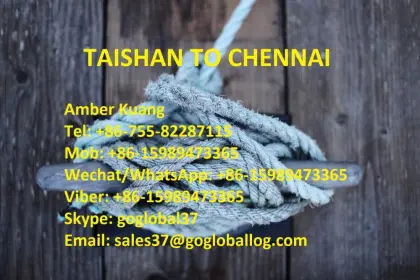Jiangmen Taishan Sea Freight to India Chennai