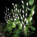 NEW Vivid Flower Treet Lamp Energy Saving Durable Lawn Simulation Leaf Branch Solar Outdoor Garden paths borders Decor Light