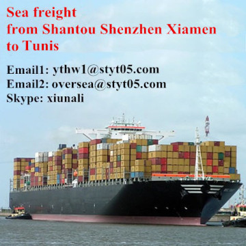 Professional sea freight service from Shantou to Tunis