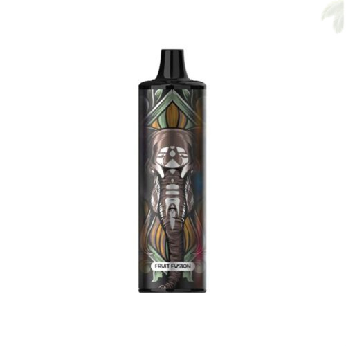 Mesh Coil Disposable Vape | 5%