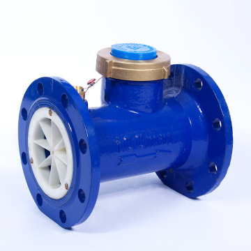 Horizontal screw wing water meter