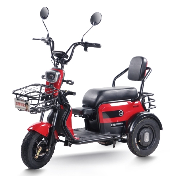 N1 (Leisure Electric Tricycle)