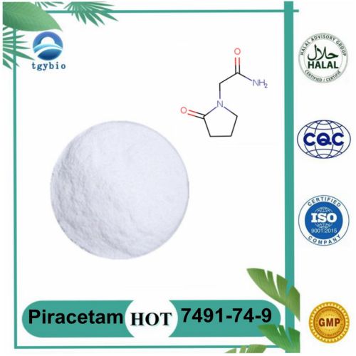 Piracetam Powder 99% TGY supply Nootropics 99% Piracetam Powder CAS 7491-74-9 Supplier