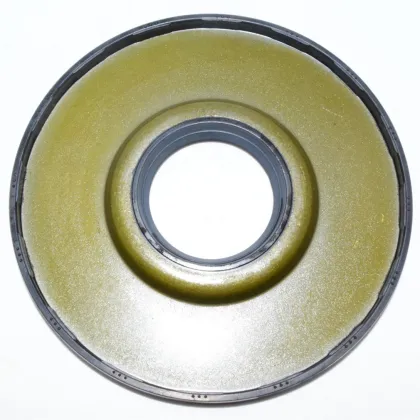 DMHUI OEM Oil Seal BE6656F for Servo Motor 24*66*6.5