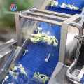 Máquina de lavar vegetais comercial tipo ciclone