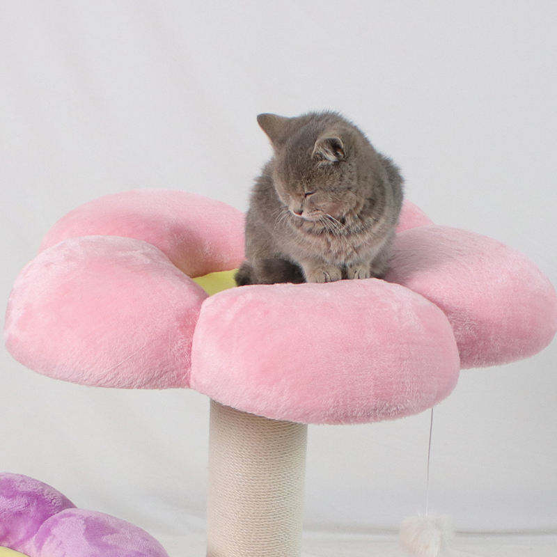 cat scratcher