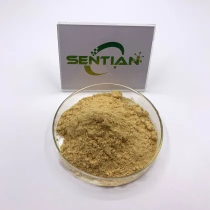 High Quality Natural Monk Fruit Extract Powder