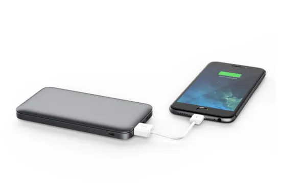 Dual USB Output Ports 10000mAh Travel Power Bank, Power Bank 10000 mAh, for Smartphone Power Bank