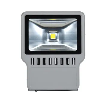 Park / Gym Meanwell 100w Led Rgb Outdoor Flood Lights With Sensor Ip65