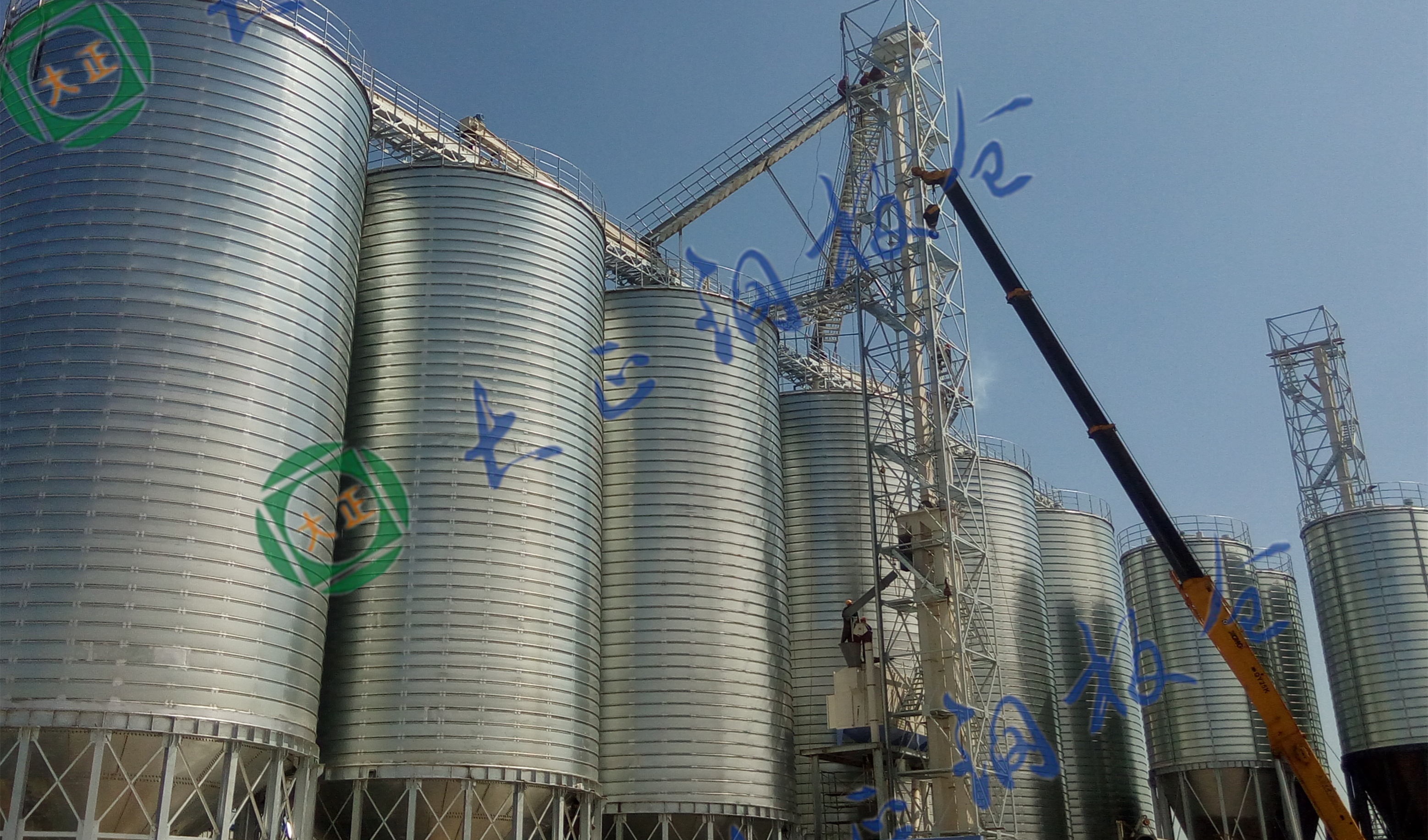 South Piwin's livestock02