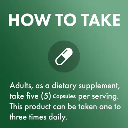 New Arrival Fermented Chlorella Dietary Supplement