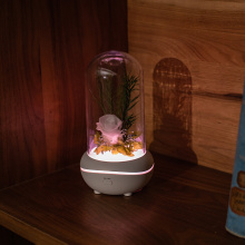 Fragrance lamp essential oil plug in waterless diffuser