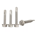 Hex washer head drilling screw paint