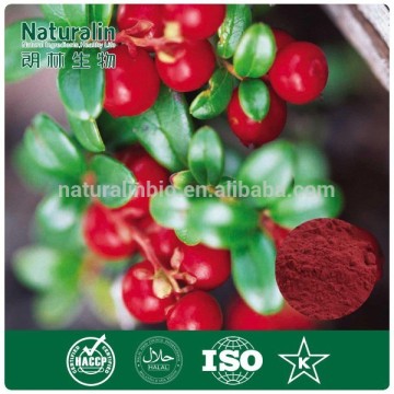 P.E. Bilberry Juice Powder Cranberry Extract