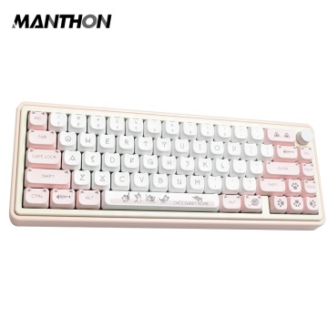 MDA Cheese Cat PBT Heat Sublimation Keycap Set for IKBC 980/87/68-Key Boards