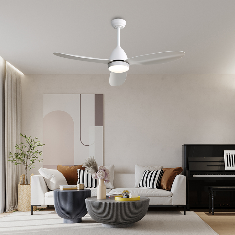 ceiling fan