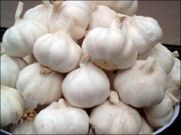 4 ~ 5cm Fresh And Plump White Garlic