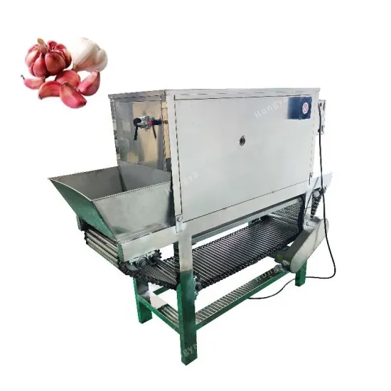 High Quality Chain Type Garlic Peeler Multifunctional Dry Garlic Peeling Machine