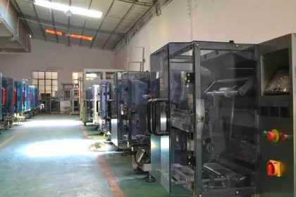 watermelon seeds bag packing machine SK-K220DT
