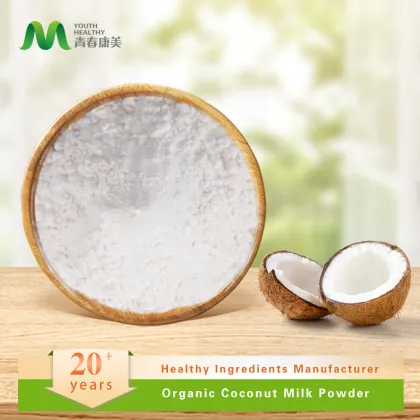 Organic Coconut Milk Powder