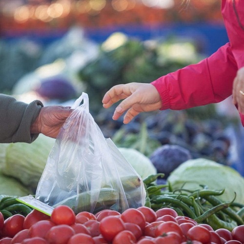 Grocery Store Shoppers Reusable Plastic Bags