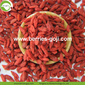 Bulk Factory Supply Dried Zhongning Goji