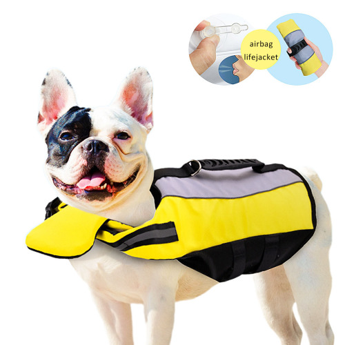 Túi khí bơm hơi gấp bộ đồ bơi an toàn cho chó