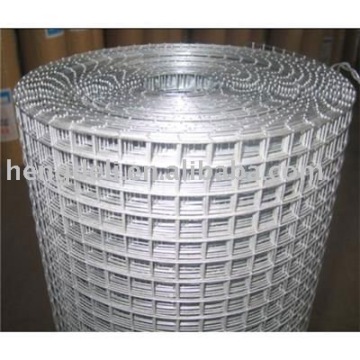 welded wire mesh(profession factory)