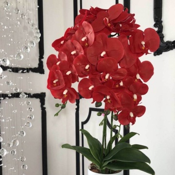 High Quality 9 Heads Real Touch Latex Orchid Flower - YAYUN J-1041