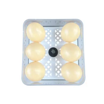 HT-6 Automatic Egg Turning Multi Functional Incubators - Wholesale Prices