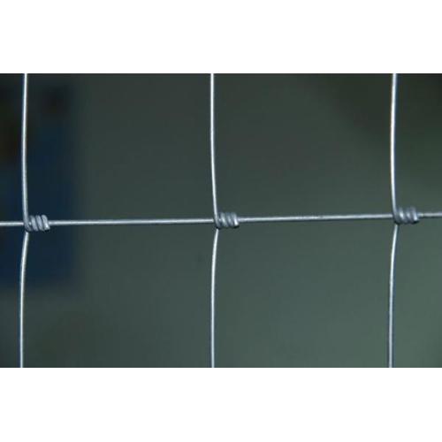 2.5mm hot dipped galvanized goat fence