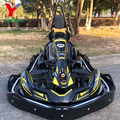 Hot Sale Go Kart Pro High Speed Kids Racing Go Karting Adult Racing Go Kart For Sale Max Speed 60Km/H
