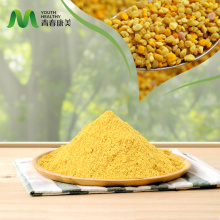 Polvere di polline di pino ad alto valore nutrizionale