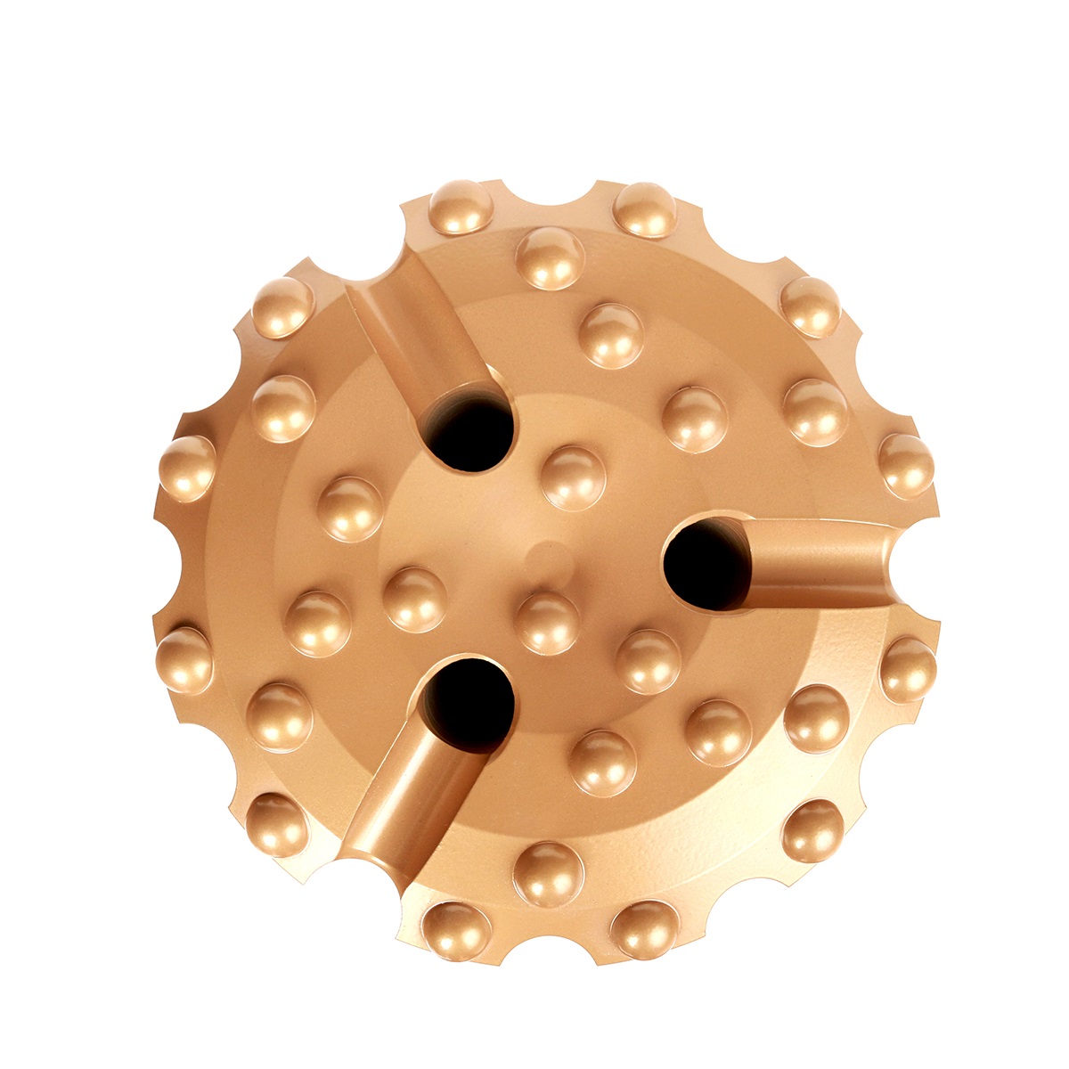 photobank - 2024-09-11T153434.187