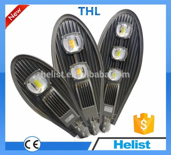 China LED street lighting fixtures Manufacturer / Meanwell Power Supply IP65 Waterproof LED Outdoor light LED Street Lamp