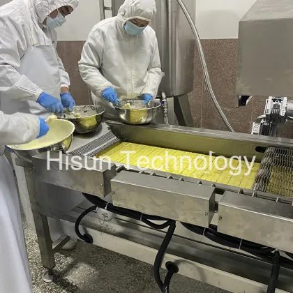 Continuous Fryer for Prawn Snacks and Potato Chips