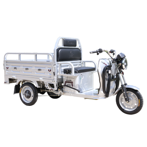 Triciclo eléctrico del cargo de la motocicleta de 3 ruedas