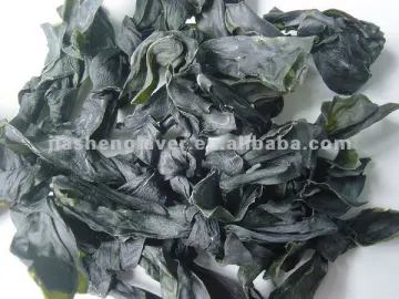 Natural Dried Brown Seaweed Kelp Knot Supplement