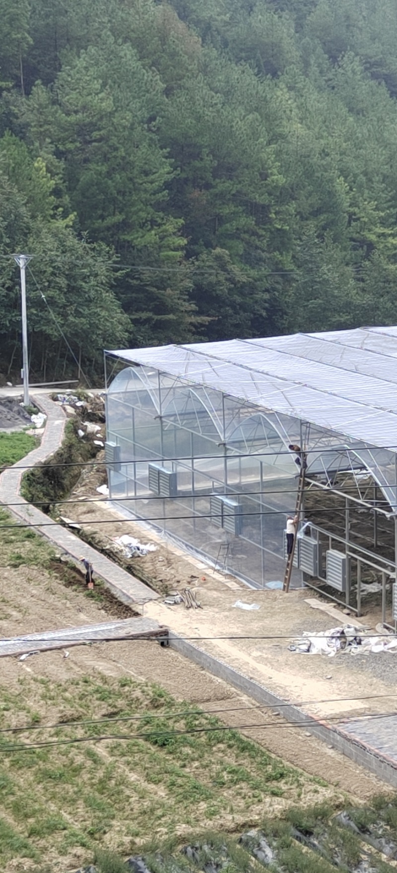 Breaking the Bottleneck of Mountain Cultivation: Qingcheng Agriculture's Integrated Greenhouse Project Lands in Dajin Town, Kaizhou District, Chongqing