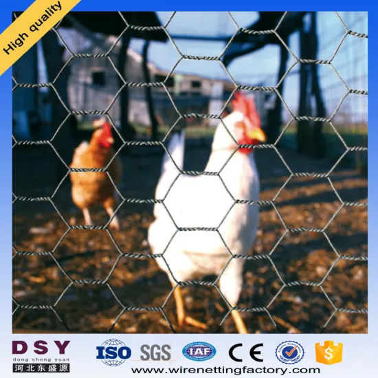 Cheap Price Poultry Net