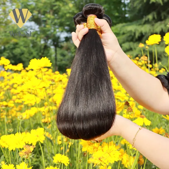 Wholesale Vietnam Human Hair Extension,Vietnamese Hair Factory In Vietnam,12A Grade Cuticle Aligned Vietnamese Raw Hair