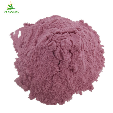 High quality pure organic acerola cherry fruit powder