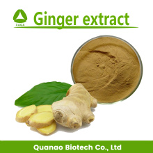 Extracto de jengibre en polvo de gingerol 5% 10%