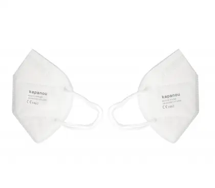 Moisture Proof Anti PM2.5 FFP2 Face Mask