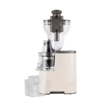 Jugador de fruta lenta vertical de 300 ml de alta calidad: prensa en frío eléctrico con función de limpieza y mezcla fácil para uso doméstico