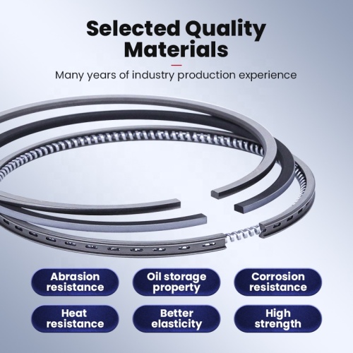 قطع غيار Auto Mazda Piston Ring Wl Wly1-11-Sco