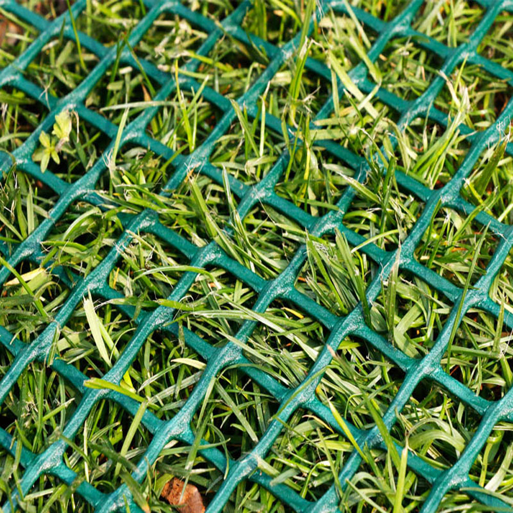 Plastic Grass Protection Net