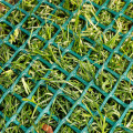 Plastic Grass Protection Net