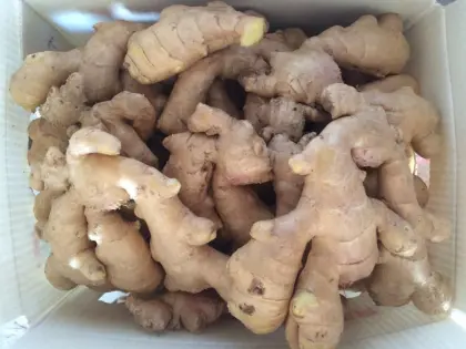 2016 Crop Air Dry Ginger