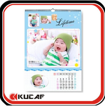 Spiral Bound Wall Calendars